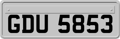 GDU5853