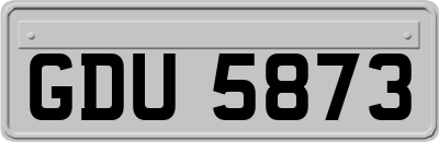 GDU5873