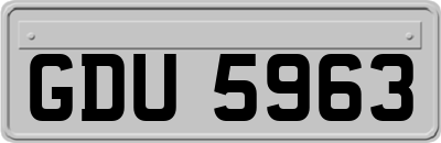 GDU5963