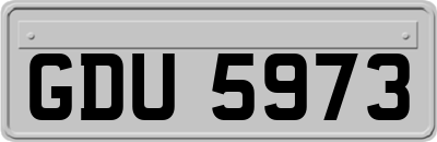 GDU5973