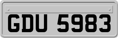 GDU5983