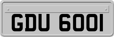 GDU6001
