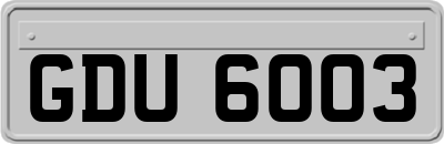 GDU6003