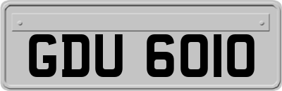 GDU6010