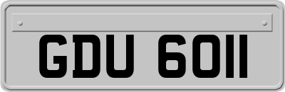 GDU6011