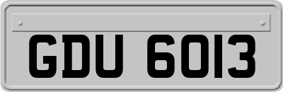 GDU6013