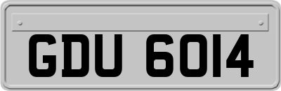 GDU6014