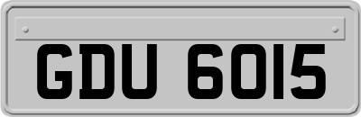 GDU6015