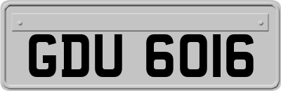 GDU6016