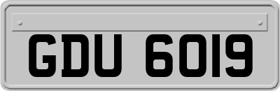 GDU6019