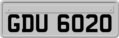 GDU6020