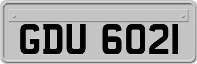 GDU6021