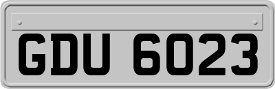 GDU6023