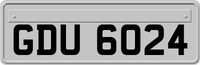 GDU6024