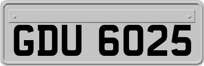 GDU6025