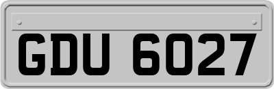GDU6027
