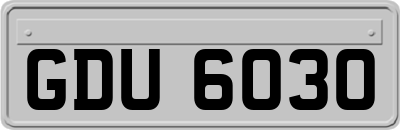GDU6030