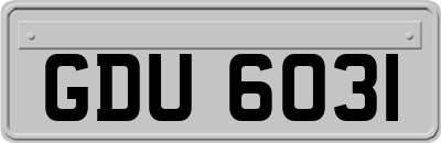 GDU6031