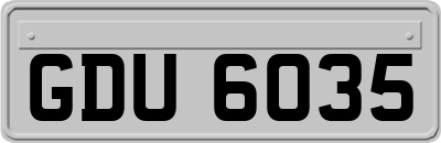 GDU6035