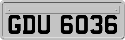 GDU6036