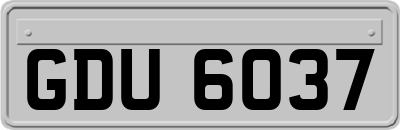 GDU6037