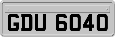 GDU6040