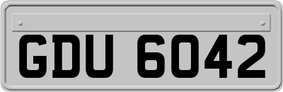 GDU6042