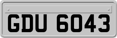 GDU6043