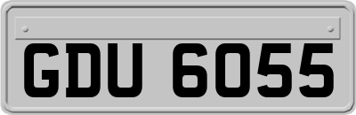GDU6055