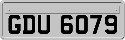 GDU6079