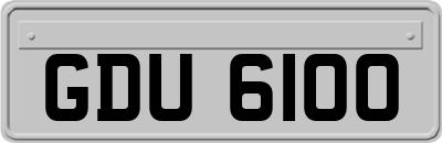 GDU6100