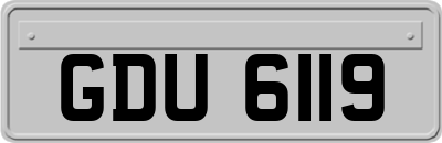 GDU6119