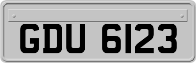GDU6123