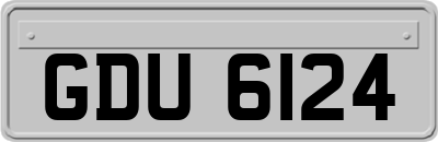 GDU6124