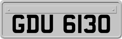 GDU6130