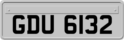 GDU6132