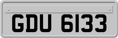 GDU6133