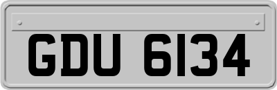 GDU6134