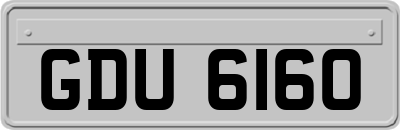 GDU6160