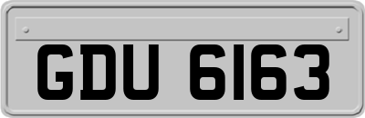 GDU6163