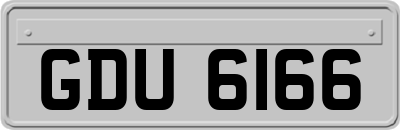 GDU6166