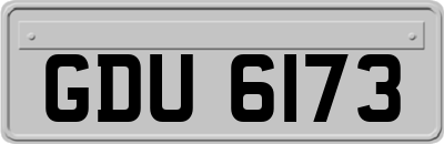 GDU6173