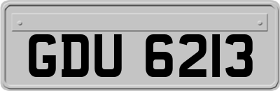 GDU6213