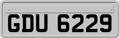 GDU6229