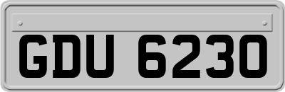 GDU6230