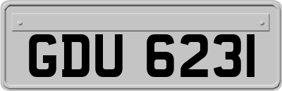 GDU6231
