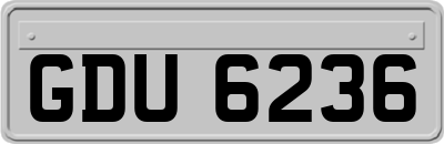 GDU6236