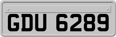 GDU6289