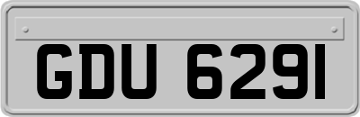GDU6291