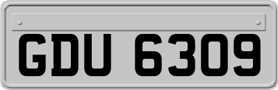 GDU6309